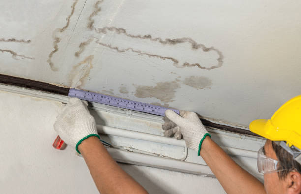 Reliable Sewage Cleanup contractor in Randolph, WI by Water Damage Irwin